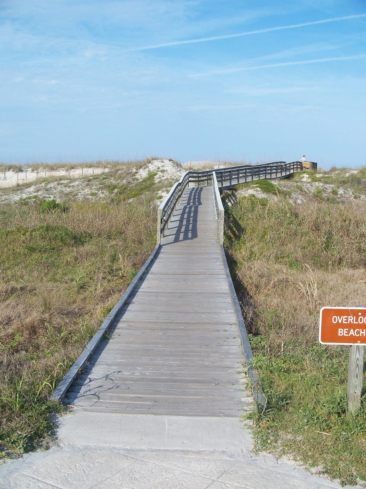 A boardwalk crosses the dunes to the beach at Anastasia State Park.