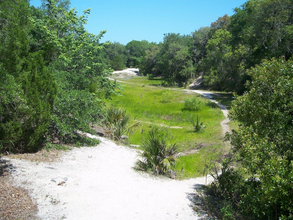 The Spanish coquina quarries at Anastasia State Park, where stone for the Castillo de San Marcos was cut.