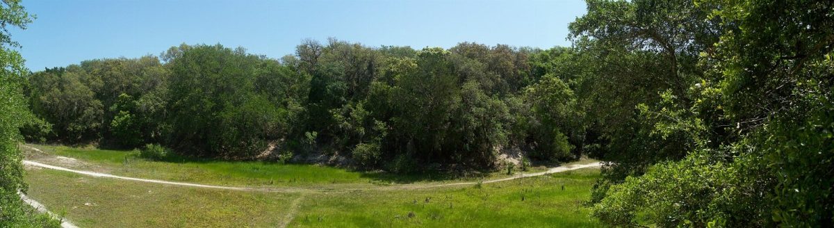 A panorama of the old coquina quarry pit at Anastasia State Park.