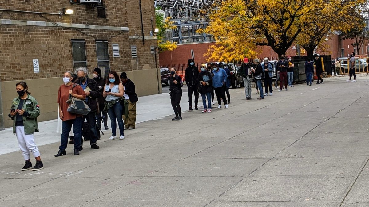 Voters wait in an early voting line (file photo, New York).