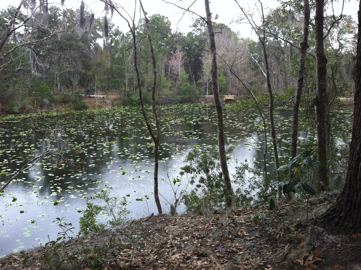 Lake Ray at the Jacksonville Arboretum & Gardens (file photo).