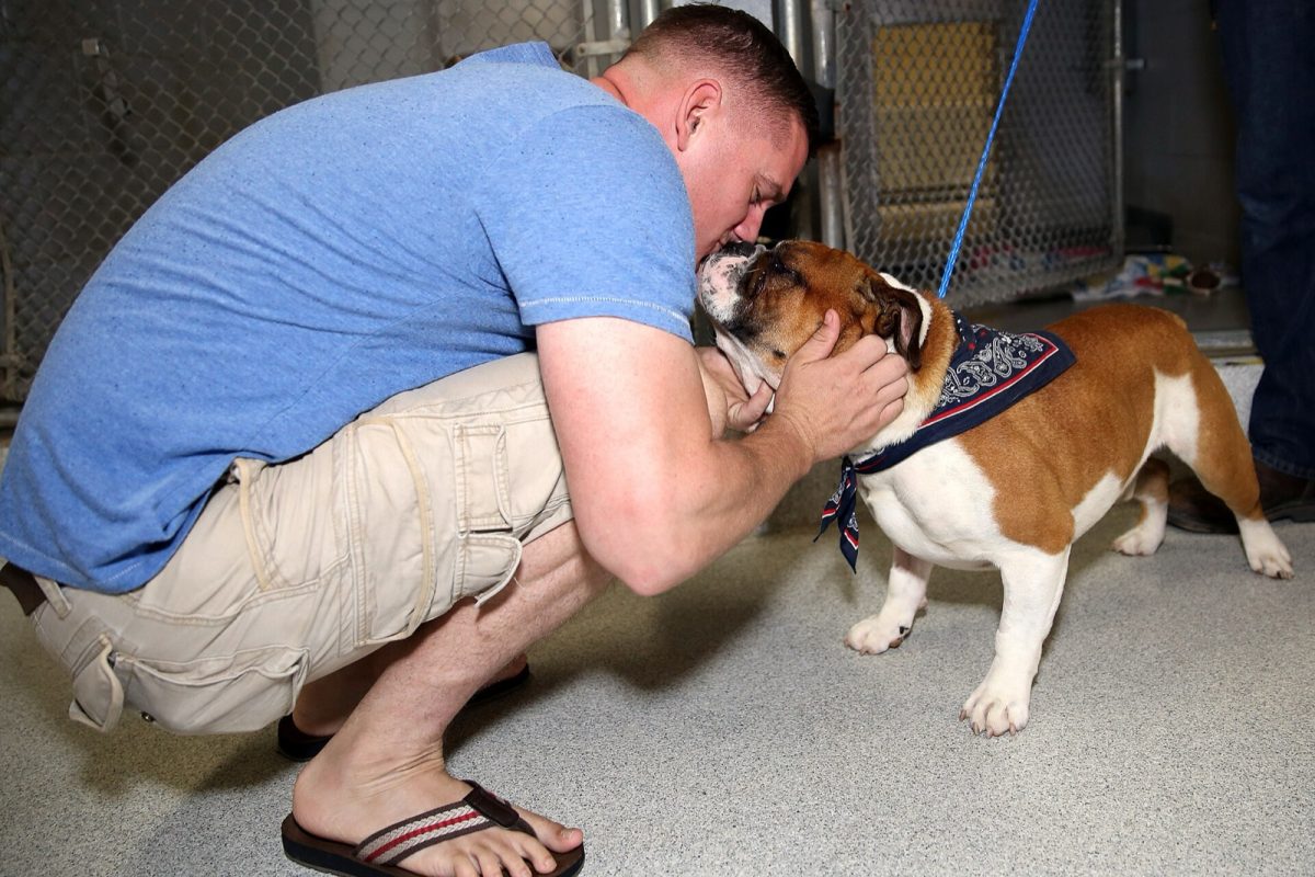 A family meets an adopted dog at an animal shelter adoption event (file photo).