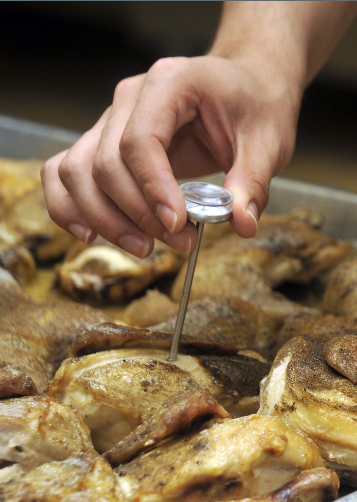 A food thermometer checks the temperature of cooked food (file photo).