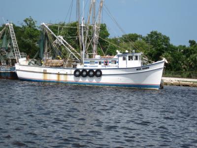 Mayport Shrimp: A Jacksonville Guide to the Village, the Shrimp, and the Rules for Catching Your Own
