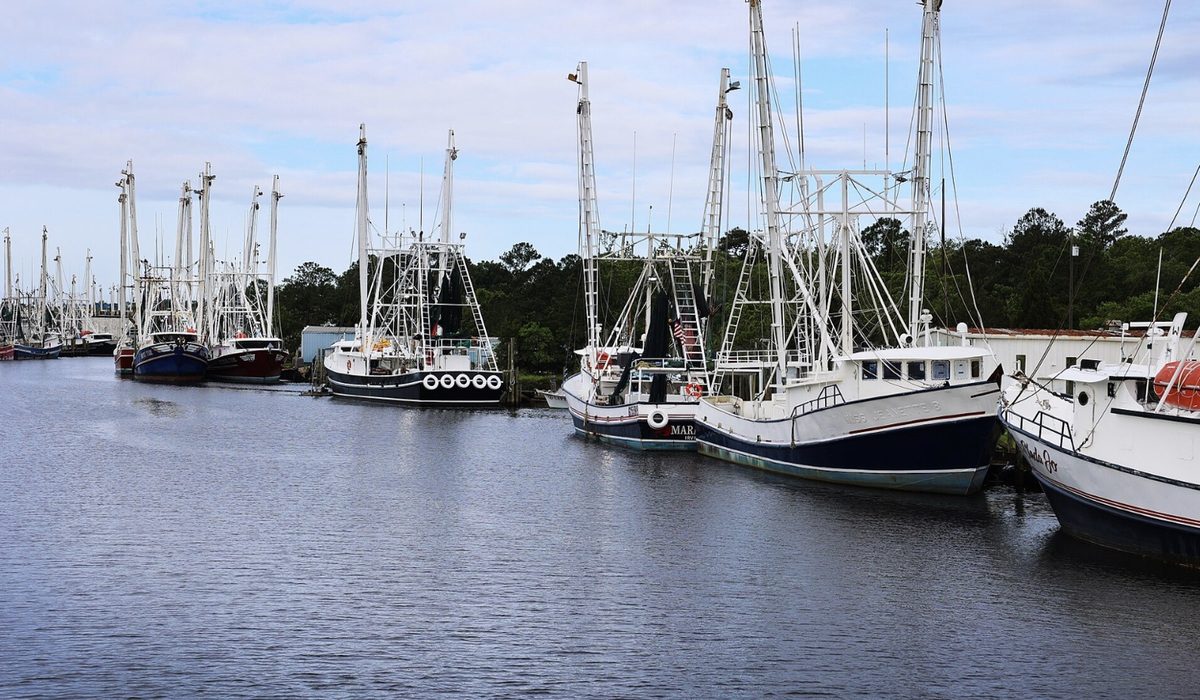 Shrimp boats docked along a waterfront, reflecting the commercial fishing traditions that have made Mayport and Northeast Florida famous for fresh seafood.