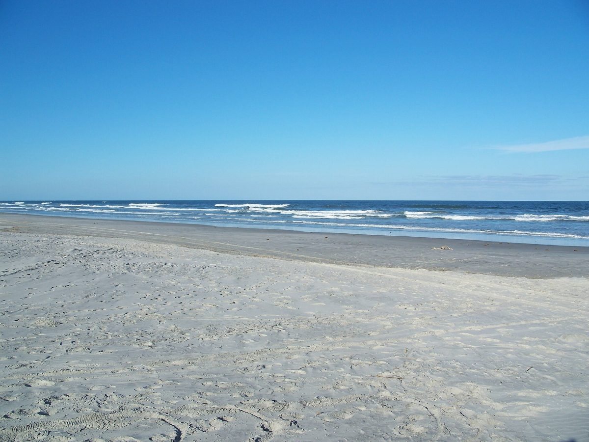 Little Talbot Island State Park charges $5 per vehicle for up to eight people.