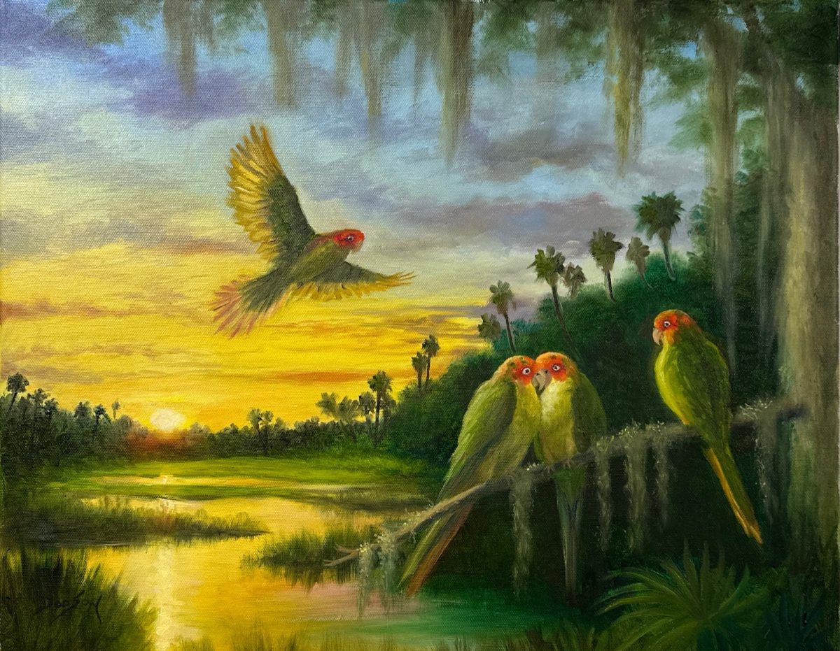 Carolina parakeets, the parrot once found in Florida, over a golden marsh.