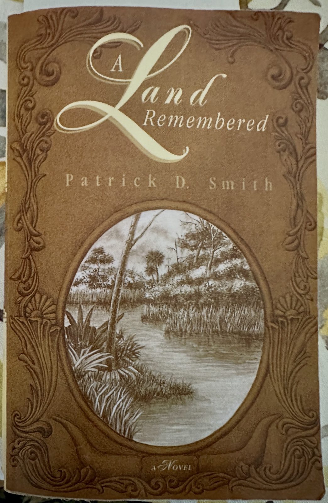 Patrick D. Smith's 1984 novel 'A Land Remembered' inspired the series.
