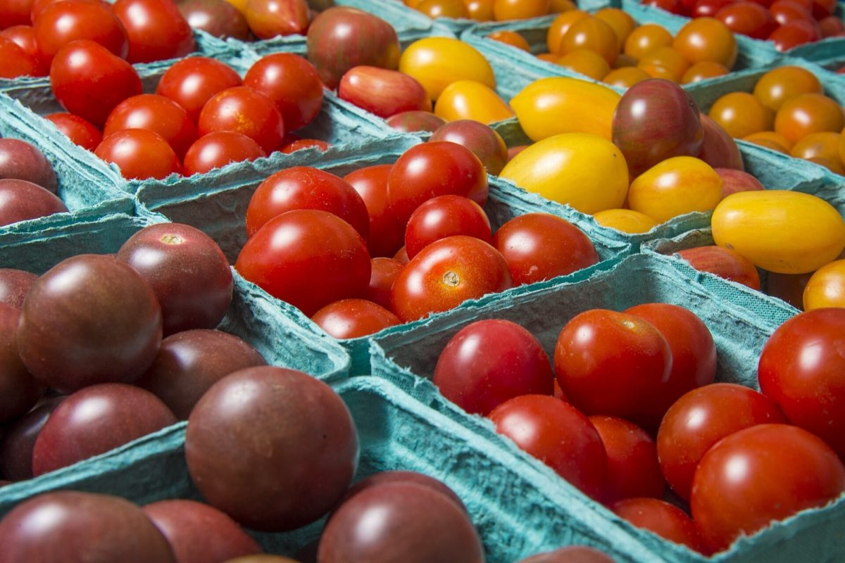 Heirloom tomatoes at a farmers market (file photo). St. Johns County farms sold $57.8 million in products in 2022.